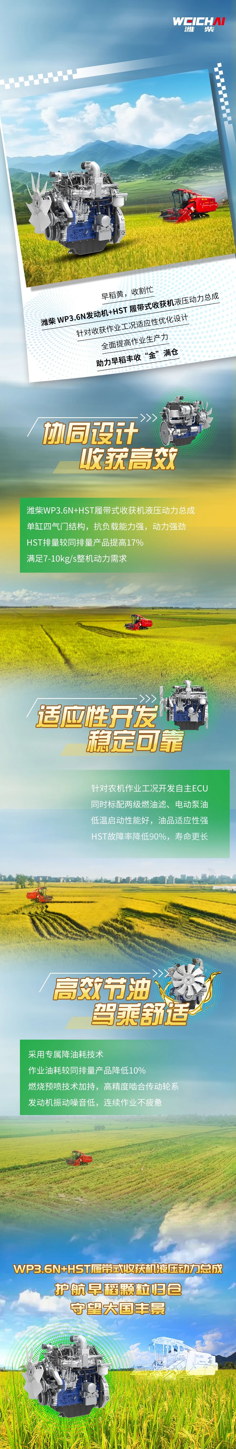 w88win优德(中国)官方网站