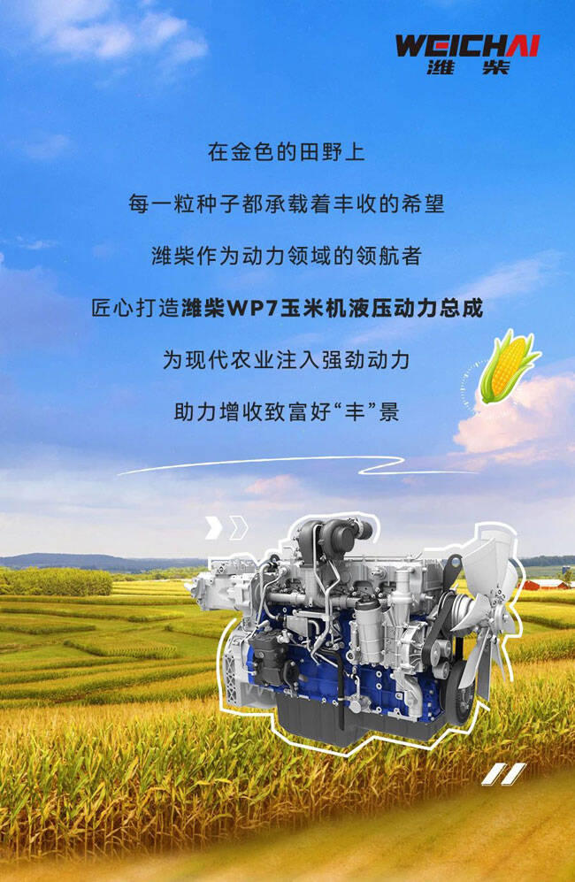 w88win优德(中国)官方网站