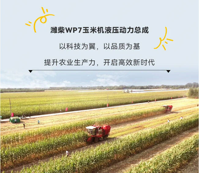 w88win优德(中国)官方网站