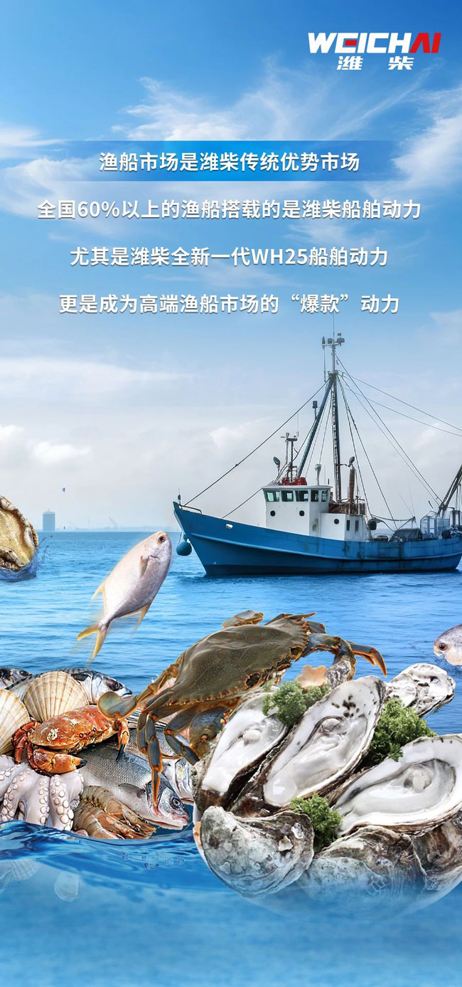 w88win优德(中国)官方网站