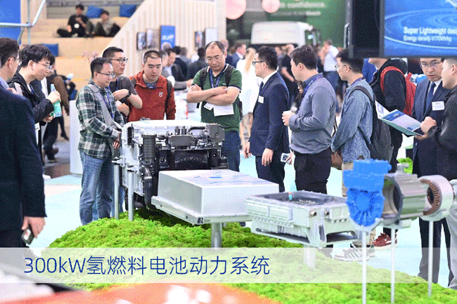 w88win优德(中国)官方网站