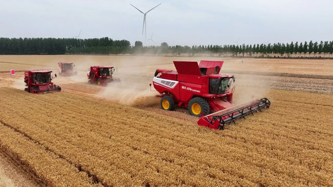 w88win优德(中国)官方网站