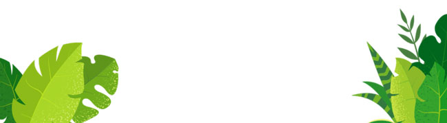 w88win优德(中国)官方网站