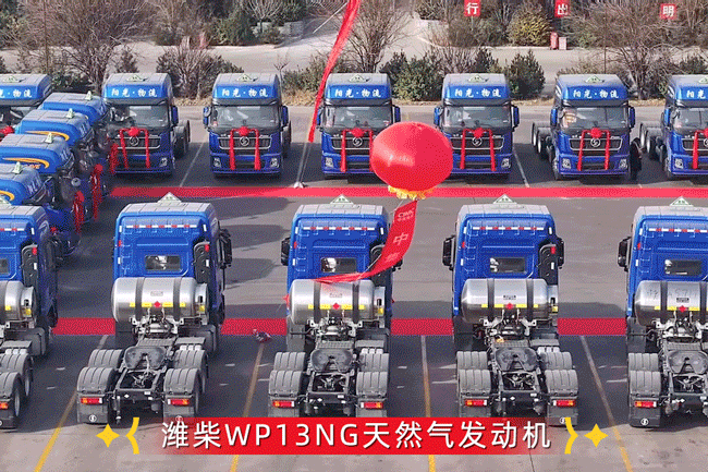 w88win优德(中国)官方网站